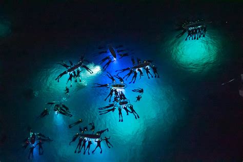 manta-night-snorkel - Hawaii Pictures