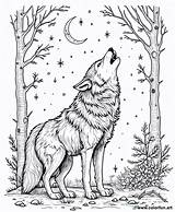 Coloring Page Of A Wolf howling In The Forest Download Or Print For Free sketch template