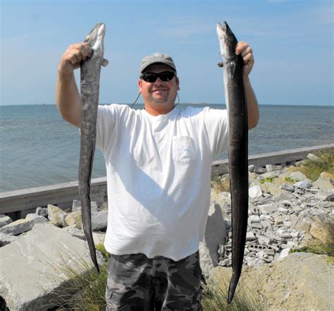 Top Water Charters Fishing Reports and News Beaufort Morehead City Atlantic Beach Pamlico Sound ...