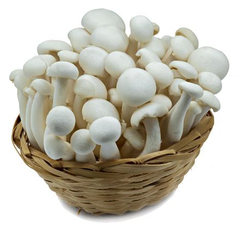 What is Enokitake? (with pictures)