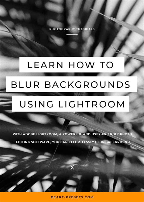 Learn How to Blur Backgrounds Using Lightroom