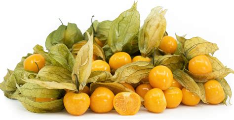 Cape Gooseberry Recipes Nz | Bryont Blog