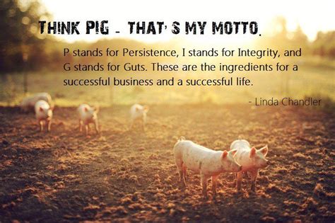 Source-Agriculture Impressions | Inspirational quotes, Pigs quote, Quotes