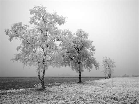 Wallpapers Box: Winter Wonderland High Definition Desktop Wallpapers