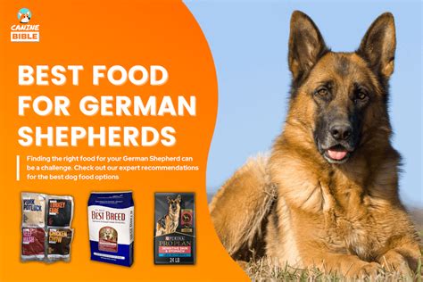 German Shepherd Raw Food Diet Guide: Best Recipes, Benefits & More - Canine Bible