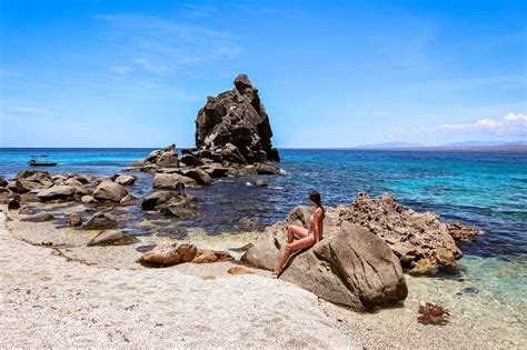 A guide to Apo Island - Snorkeling & Diving with the turtles - Daily ...