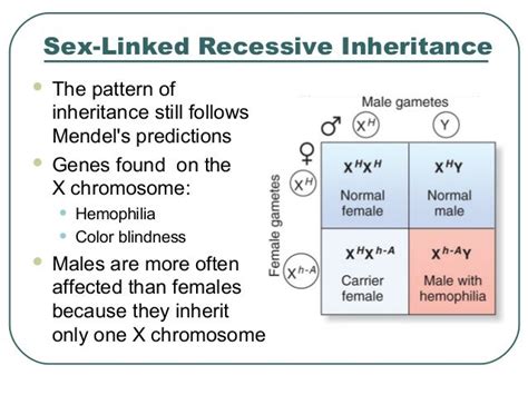 Patterns of Inheritance