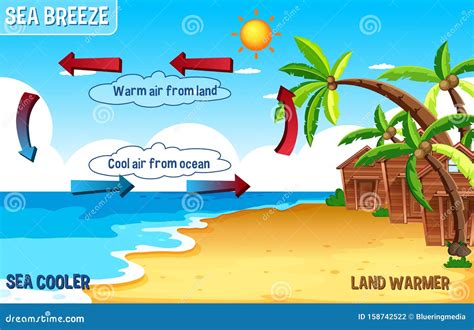 Sea Breeze And Land Breeze Cartoon Vector | CartoonDealer.com #67891315