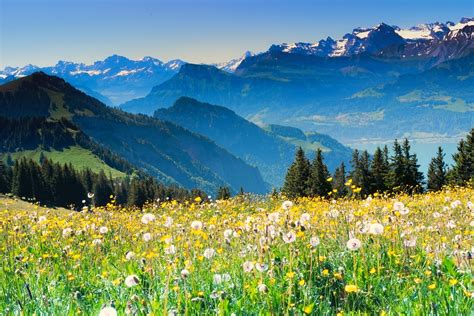 Free photo Swiss Alps Summer Switzerland Wanderer Alpine - Max Pixel