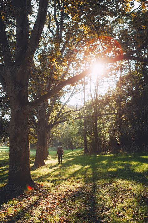 "Young Man Hiking In Nature" by Stocksy Contributor "Lumina" - Stocksy