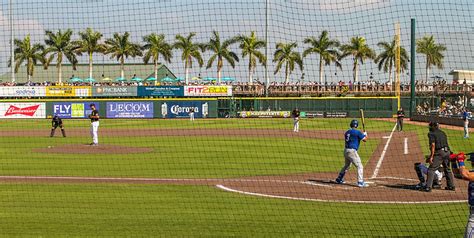 Ballpark Brothers | LECOM Park, Bradenton, FL