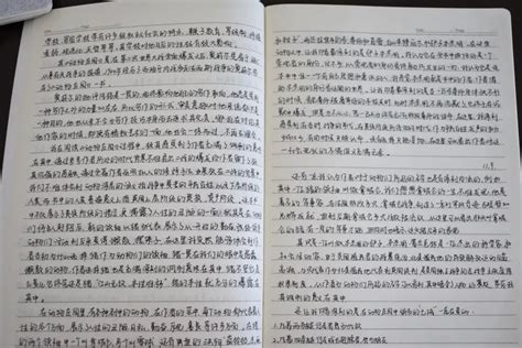 书法欣赏笔记,书法欣赏作品欣赏 - 伤感说说吧