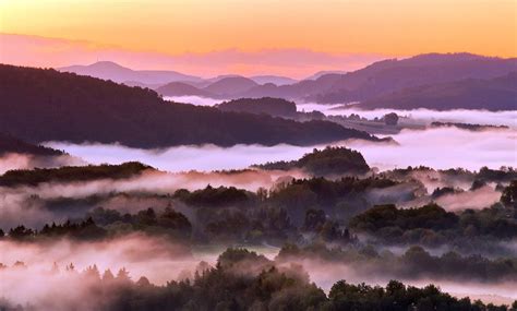 Black Forest, Germany | Black forest germany, Landscape, Germany travel ...