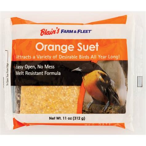 Blain's Farm & Fleet Orange Suet - 00831 | Blain's Farm & Fleet