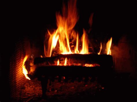 Fireplace GIF - Fireplace - Discover & Share GIFs