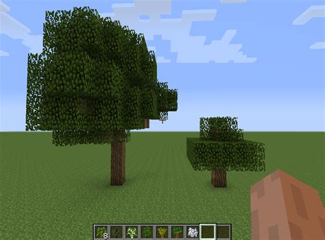 File:Oak Trees.png – Official Minecraft Wiki