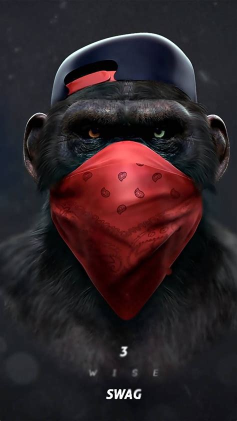 Cool Monkey Wallpapers - Wallpaper Cave