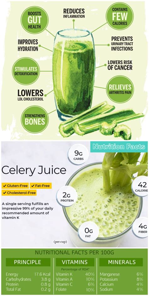 Benefits of Celery: 10 Incredible Healing Properties & Nutrition Facts | Celery benefits health ...