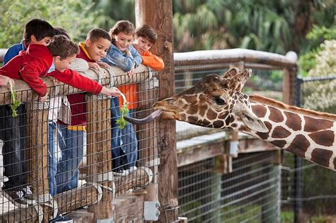 Mesker Park Zoo Evansville Indiana Annual Family Admission