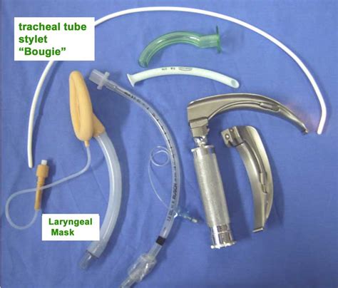 Transtracheal Jet Catheter | Foto Bugil Bokep 2017