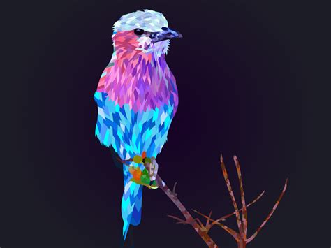 Colorful Bird Geometric Art by SolyWack on DeviantArt