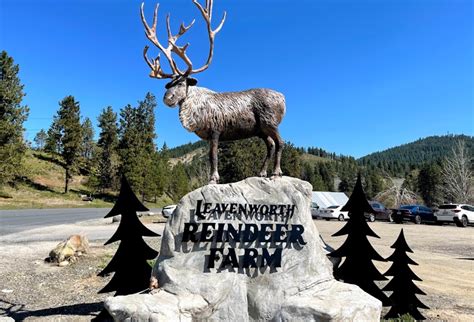 Leavenworth Reindeer Farm - Destination Leavenworth LLC