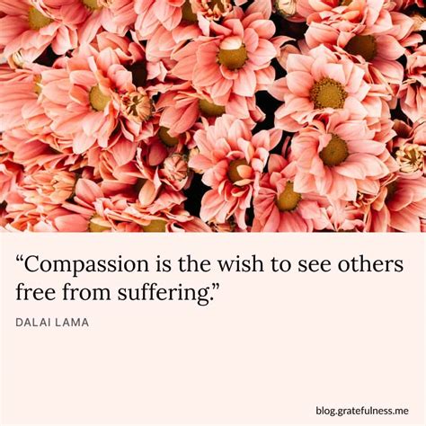 60+ Compassion Quotes to Make This World a Kinder Place