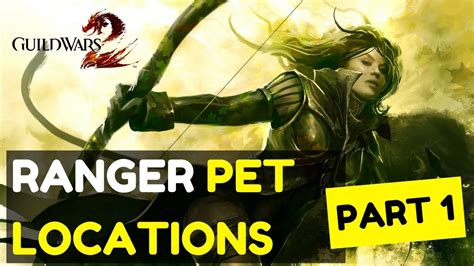 Guild Wars 2 Ranger Pet Locations - Part 1 - GW2 Base Game Pets - YouTube