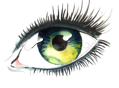 Green Eye Lashes Stock Illustrations – 451 Green Eye Lashes Stock ...