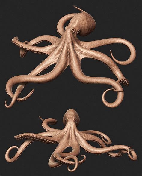 ArtStation - Octopus for feature film | Octopus painting, Octopus ...