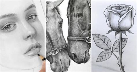 25 Easy Realistic Drawing Ideas - How to Draw Realistic