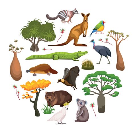 Australia Flora Fauna Composition 12696994 Vector Art at Vecteezy