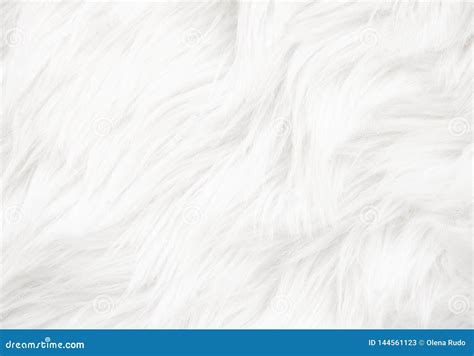 White fur texture stock image. Image of decoration, abstract - 144561123