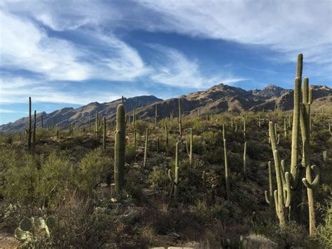 7 Best Bike Trails in Tucson AZ - Bicycle Odyssey