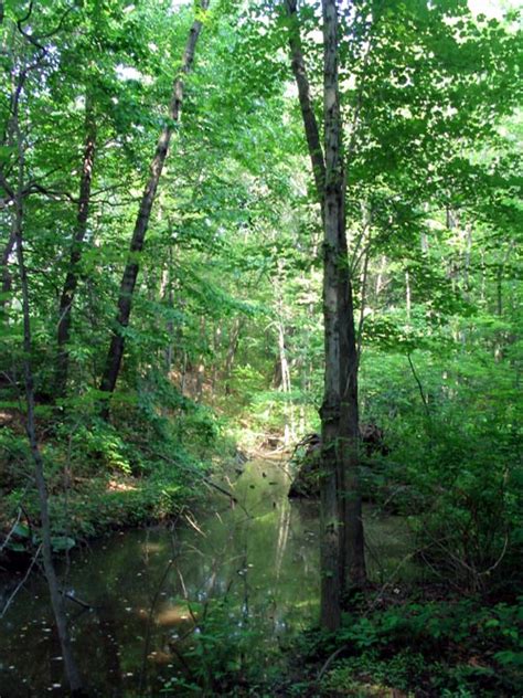 Clay Pit Ponds State Park Preserve, Charleston, Staten Island