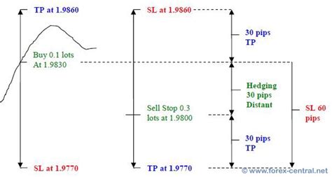 Sure-Fire Forex Hedging Strategy - Win every time