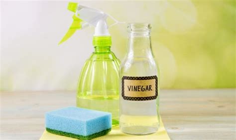 White vinegar uses: Six ways to use white vinegar - from cleaning to flowers | Express.co.uk