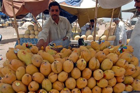 Pakistan's (Literally) Forbidden Fruit | Asia Society