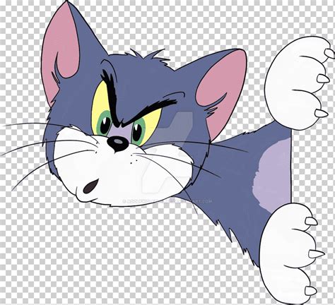 Tom gato tom y jerry, gato, mamífero, animales, gato como mamífero png | Klipartz