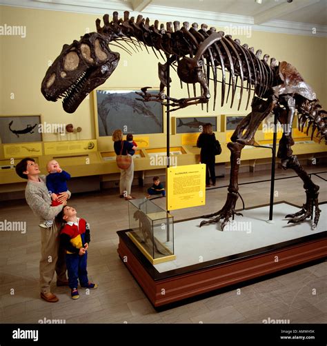 Dinosaur Hall At The Carnegie Museum Of Natural History, Pittsburgh ...