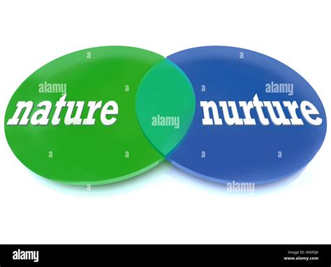 Nature Vs Nurture Charts