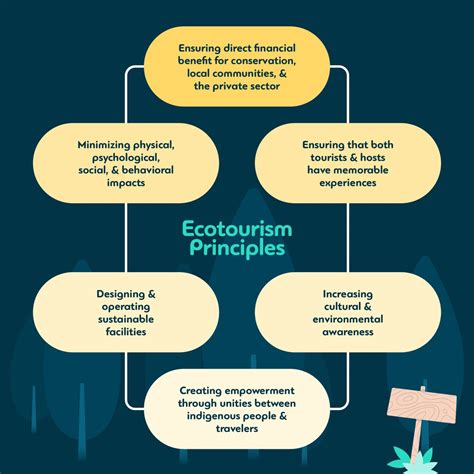 Ecotourism 101: Ecotourism Examples, Definition & Best Practices - Mize