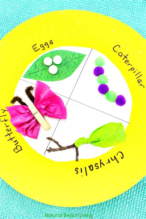 Easy Butterfly Life Cycle Craft Kids Love - Paper Plate Craft - Natural Beach Living