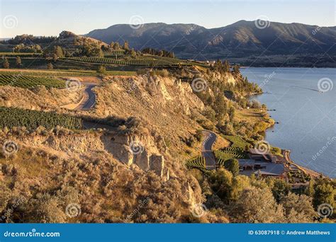 British Columbia Vineyards stock photo. Image of mountains - 63087918