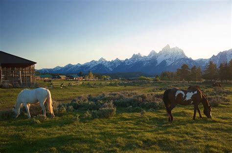 Triangle X Ranch - Wyoming Dude Ranch Association