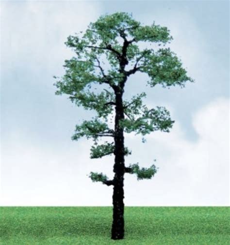 N Scale - JTT Scenery - 92212 - Scenery, Scots Pine Tree - Scener...