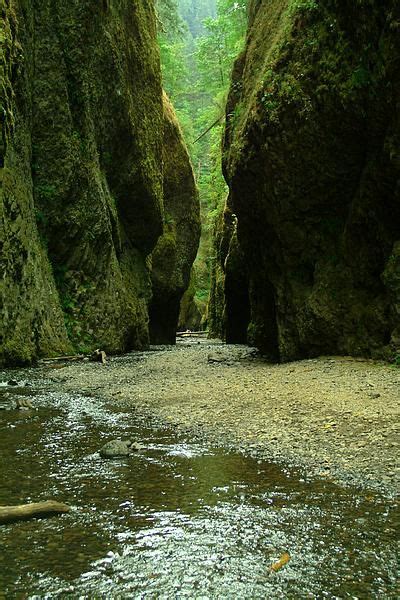 Columbia River Gorge Hiking Trails - Oregon | Explore oregon, Hiking trails, Travel outdoors