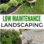 Low Maintenance Landscaping Ideas