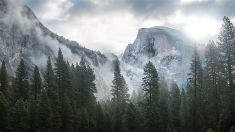 Yosemite Wallpaper - Scenic, Nature, Nature #181