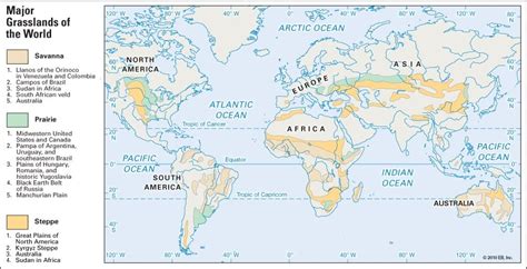 Top 16 Grassland Facts - Animals, Plants, Climate, Biome,